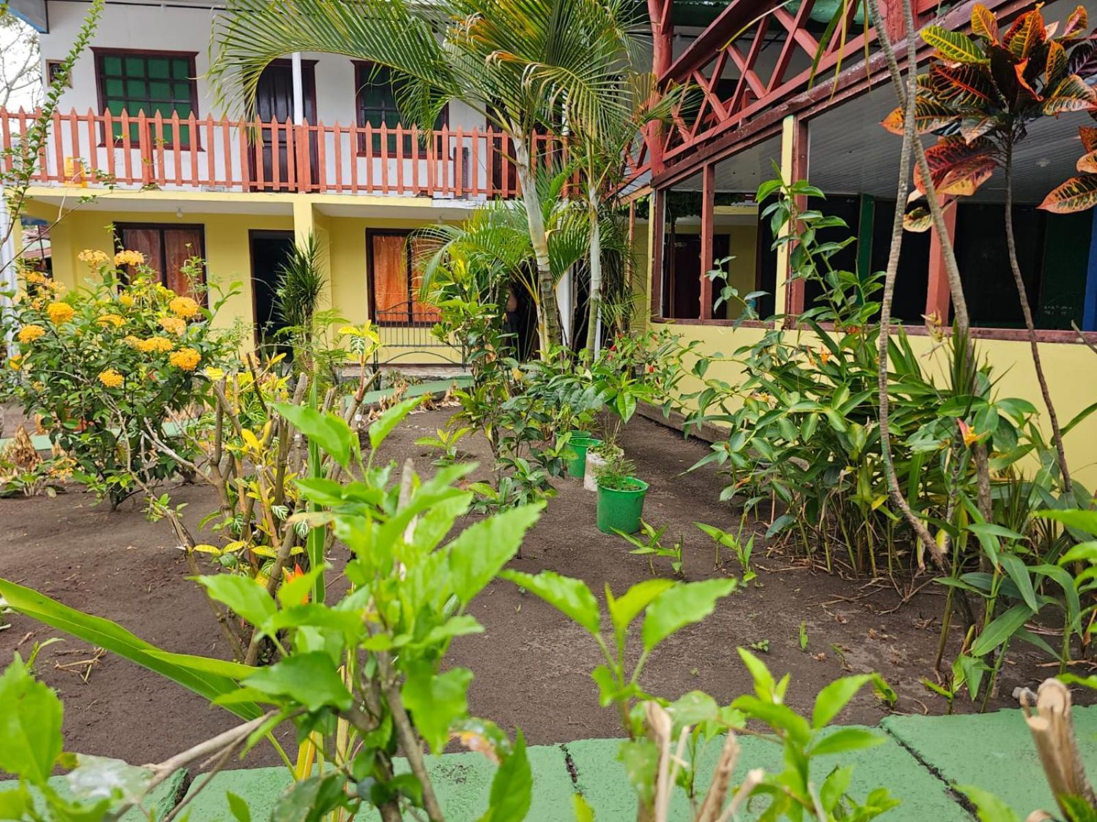 Cabinas Miss Miriam 2 Tortuguero Extérieur photo